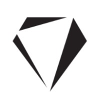 Diamond ProTech® logo - Similar company to Ngnt