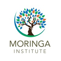 Moringa Institute logo - Similar company to Masthead Financial & Capital Advisors