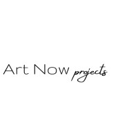 Art Now Projects logo - Similar company to Cks Gallery