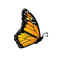 Monarch Tracking logo - Similar company to Ditat Advisory Llc