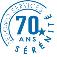 SESOMO SERVICES logo - Similar company to Sodeico Hr Solutions Rdc