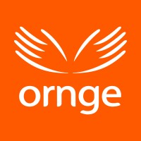 Ornge logo - Similar company to The Black Box Institute