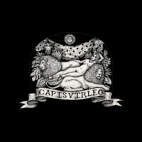 Capisvirleo logo - Similar company to Inkake