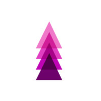 Women'S Enterprise Action Loan Fund