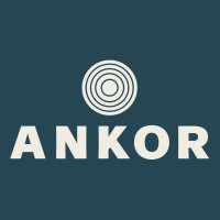 Ankor Intelligence logo - Similar company to Nextsteps Consulting