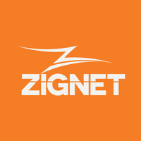 Zignet logo - Similar company to Frogpay | Solução Em Pagamentos