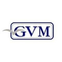GVM - Società di Intermediazione Assicurativa logo - Similar company to Miscela