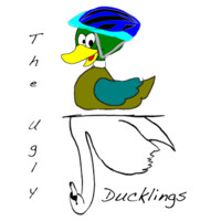 U.D Consulting Ltd
