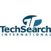 Tech Search Inc logo - Similar company to Data Verge Analytics