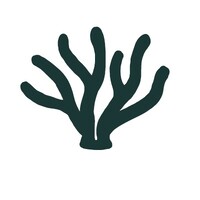 Maibranch logo - Similar company to Agile Qube