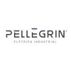 Pellegrin Elétrica Industrial logo - Similar company to Technorodas