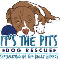 It'S The Pits
