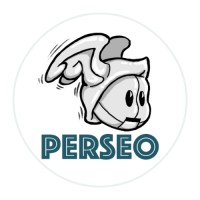 Perseo Project logo - Similar company to Keel