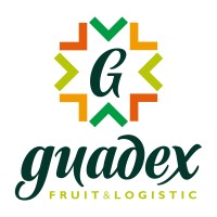GUADEX logo - Similar company to Tech Finance