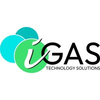 iGAS Technology Solutions Ltd logo - Similar company to Aeroflex Hose And Engineering