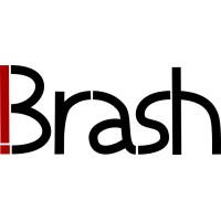 Brash Technology Services logo - Similar company to Brash Concepts
