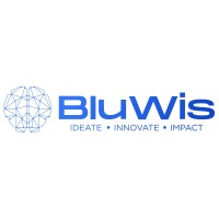 BluWis logo - Similar company to Bluewise Group