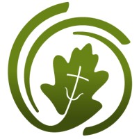 Oak Health Foundation logo - Similar company to Ieee Student Branch At Uc Irvine