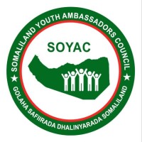 SOYAC logo - Similar company to Maxqdata Llc