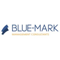 Blue-Mark Management Consultants logo - Similar company to Burnie Group