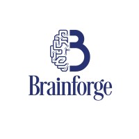 Brainforge Solutions Pvt Ltd logo - Similar company to Growthmatics