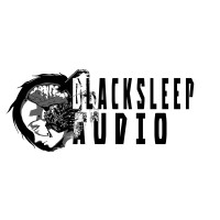Blacksleep Audio logo - Similar company to Michael Gabriels