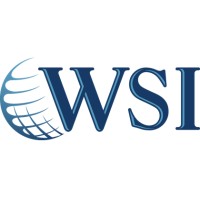 WSI Plokus logo - Similar company to Healthy People Co.