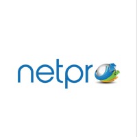Netpro International Limited logo - Similar company to He Freelances™