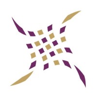 Plethora Management Consulting logo - Similar company to Solidus Management Consulting