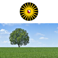 Copernicus Institute of Sustainable Development, Utrecht University logo - Similar company to Ucf Foundation