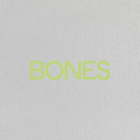 Bones logo - Similar company to Natural Energy Solutions