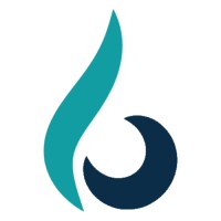Bluefire Marketing LLC logo - Similar company to Nextpro Ppc