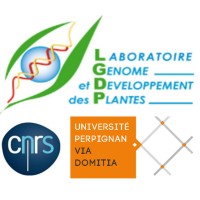 Plant Genome and Development Laboratory logo - Similar company to Ihpe_Lab