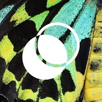 WePlanet Australia logo - Similar company to I3 Australia - Insight, Innovate, Improve