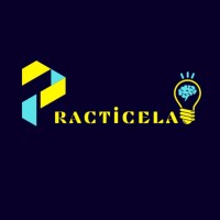 Practicela logo - Similar company to Quickit