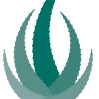 Agave Creative