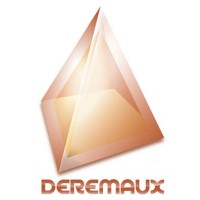DEREMAUX logo - Similar company to Servaly