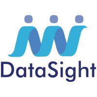 DataSight logo - Similar company to Datasight