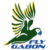 Fly Gabon logo - Similar company to Conseil Économique, Social Et Environnemental - Cesega