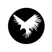 RESILIENCE logo - Similar company to Skybirdsview
