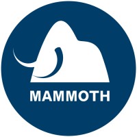 Mammoth Equipment Ltd logo - Similar company to Mts Suction Systems Uk Ltd
