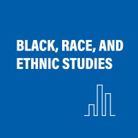 Black, Race, and Ethnic Studies (GC/CUNY) logo - Similar company to Department Of Hss, Iiser Bhopal