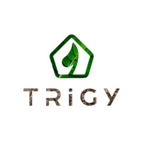 TRiGY logo - Similar company to 4Control