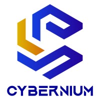 Cybernium logo - Similar company to Colour Creations