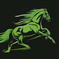 Dream Big Racing Llc