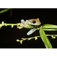 Biota Consultoria y Medio Ambiente S.A.S. logo - Similar company to Global Bild S.A.S