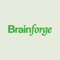 Brainforge logo - Similar company to Ninepointtwo Capital