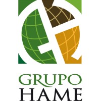 Grupo HAME logo - Similar company to Instituto Nacional De Telecomunicaciones Instel
