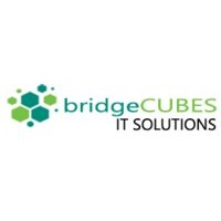 BridgeCubes IT Solutions logo - Similar company to Quantum Veda Ai Solutions