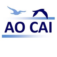 Ao Cai (Ningbo) Trading Co. Ltd. logo - Similar company to Navex Sas